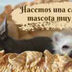 🐶🛏️ Las mejores camas para perros: confort y comodidad garantizada