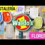 🌸 Descubre los mejores 🌼 floreros Waldos 🌺 para darle vida a tus espacios