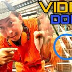 🔍💡 Descubre las ventajas de las ventanas de PVC doble vidrio para tu hogar