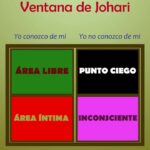 🔍 Descubre cómo las ventanas Johari pueden transformar tu espacio 🏠